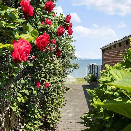 20212-samso-saelvig-50 Sælvig